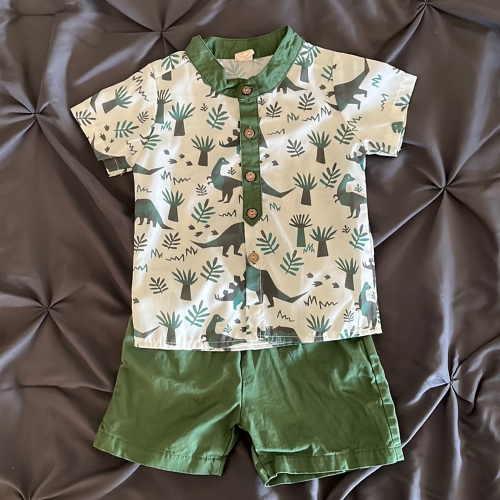 Boys 2T Dinosaur shirt and shorts outfit.